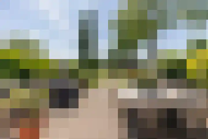Waaldijk 161 Ridderkerk thumbnail 10