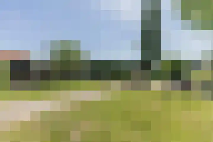 Waaldijk 161 Ridderkerk thumbnail 12