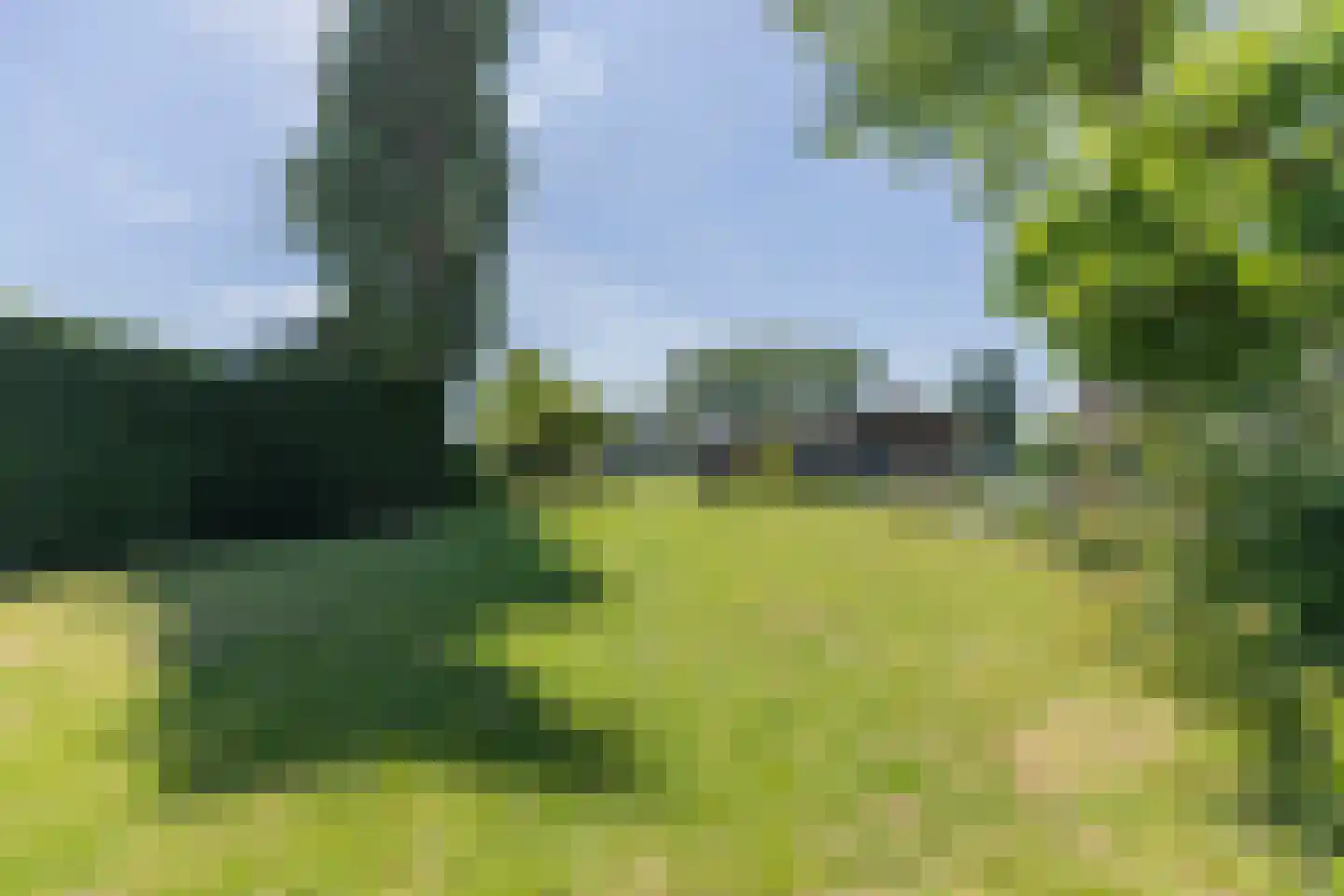 Waaldijk 161 Ridderkerk thumbnail 16