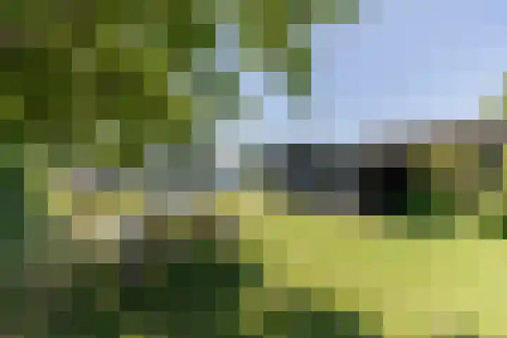Waaldijk 161 Ridderkerk thumbnail 17