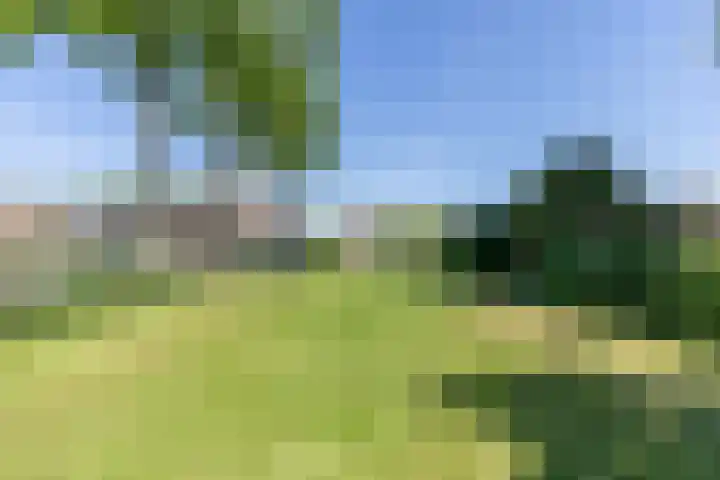 Waaldijk 161 Ridderkerk thumbnail 4