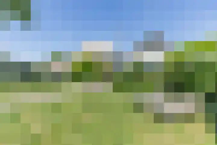 Waaldijk 161 Ridderkerk thumbnail 8