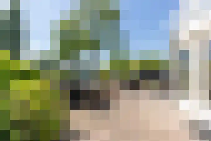 Waaldijk 161 Ridderkerk thumbnail 9