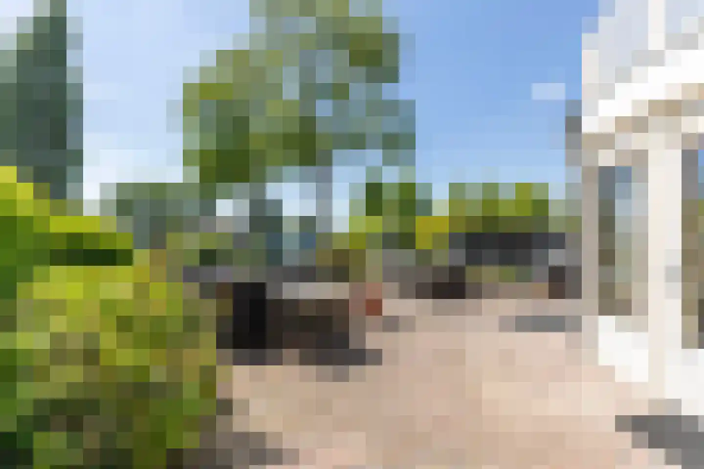 Waaldijk 161 Ridderkerk thumbnail 9