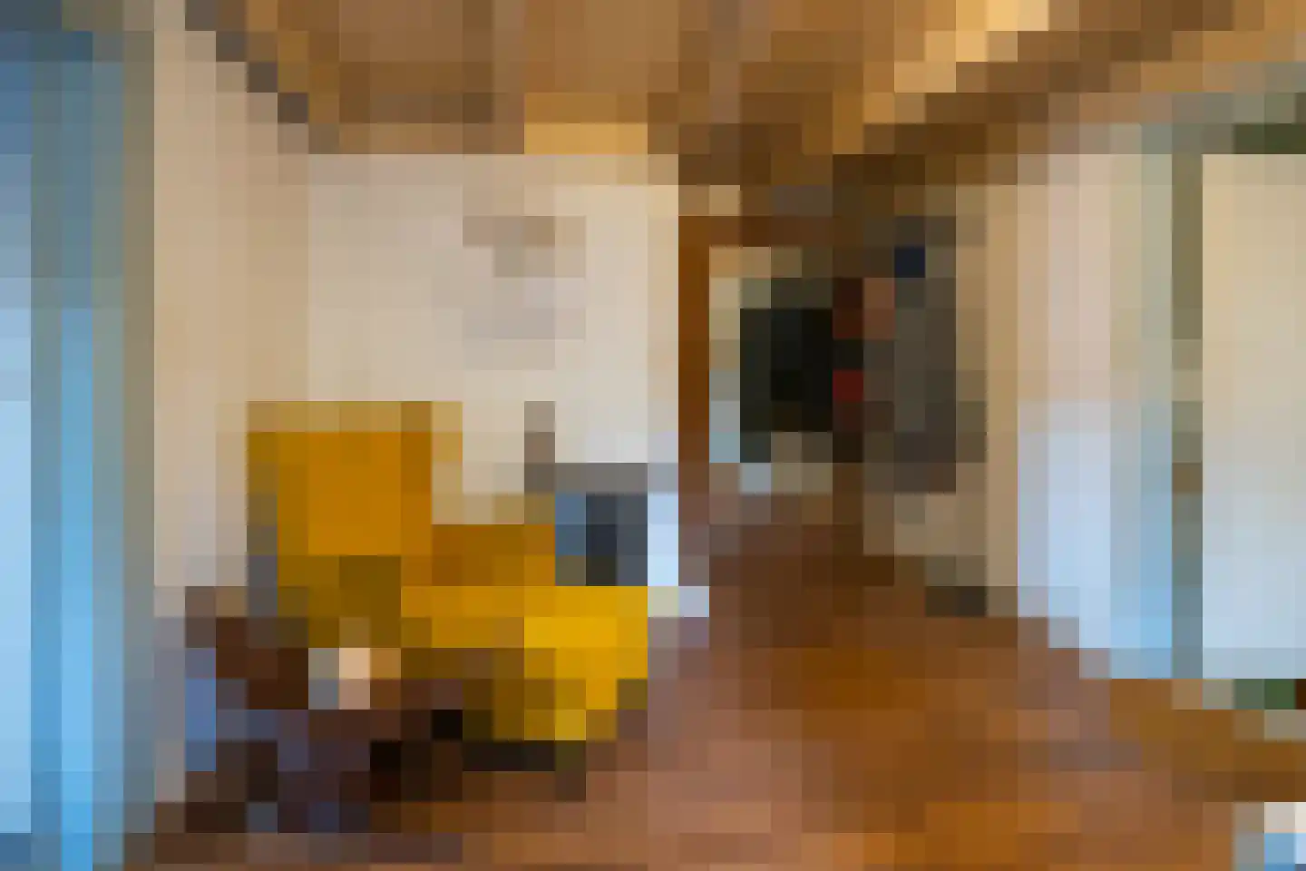Waaldijk 18 Herwijnen thumbnail 25