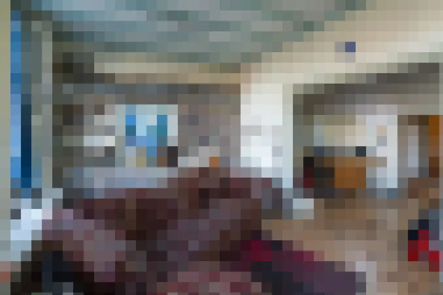 Waaldijk 18 Herwijnen thumbnail 29