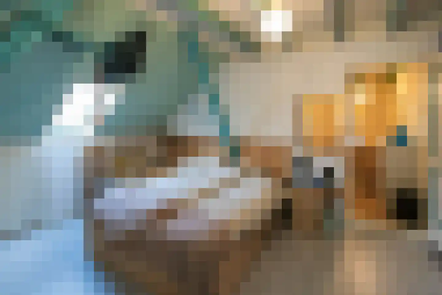 Waaldijk 18 Herwijnen thumbnail 32