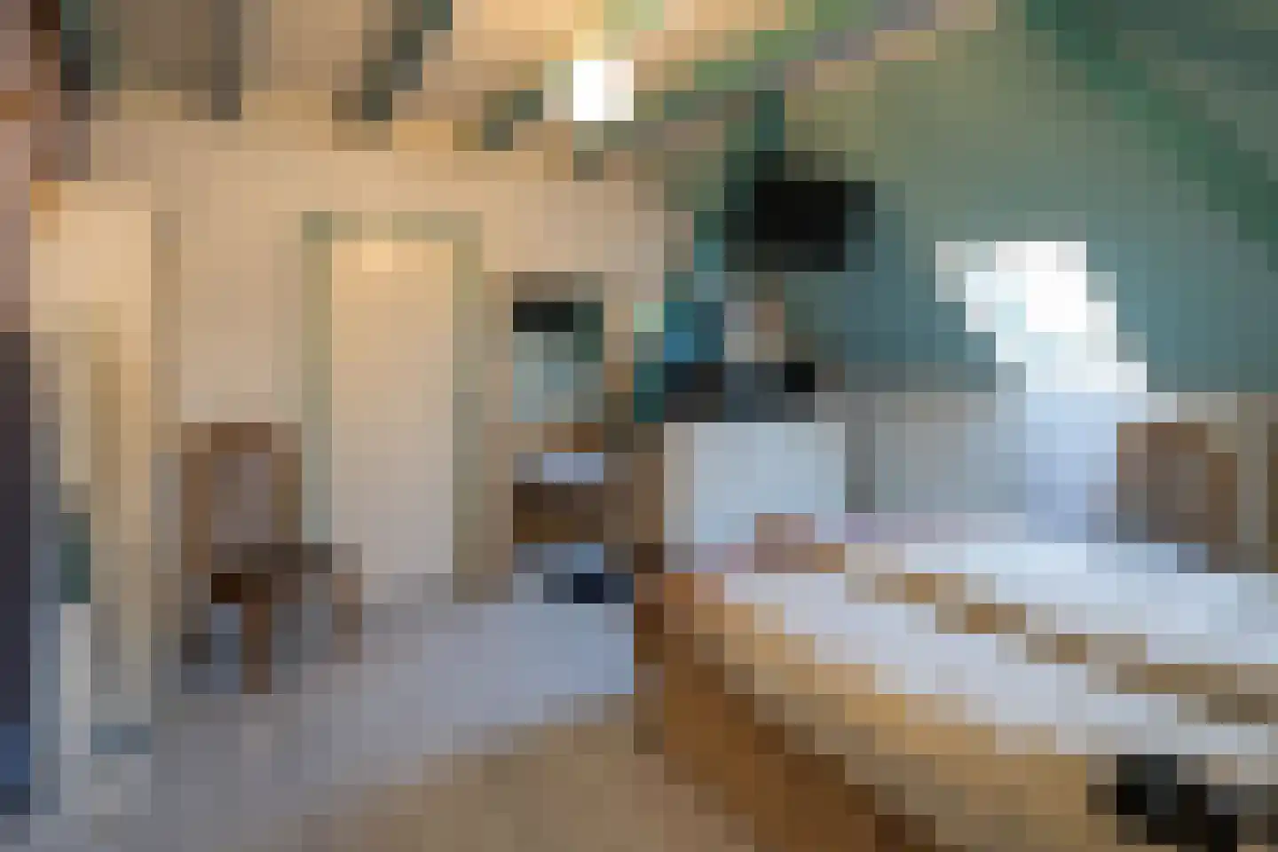 Waaldijk 18 Herwijnen thumbnail 33