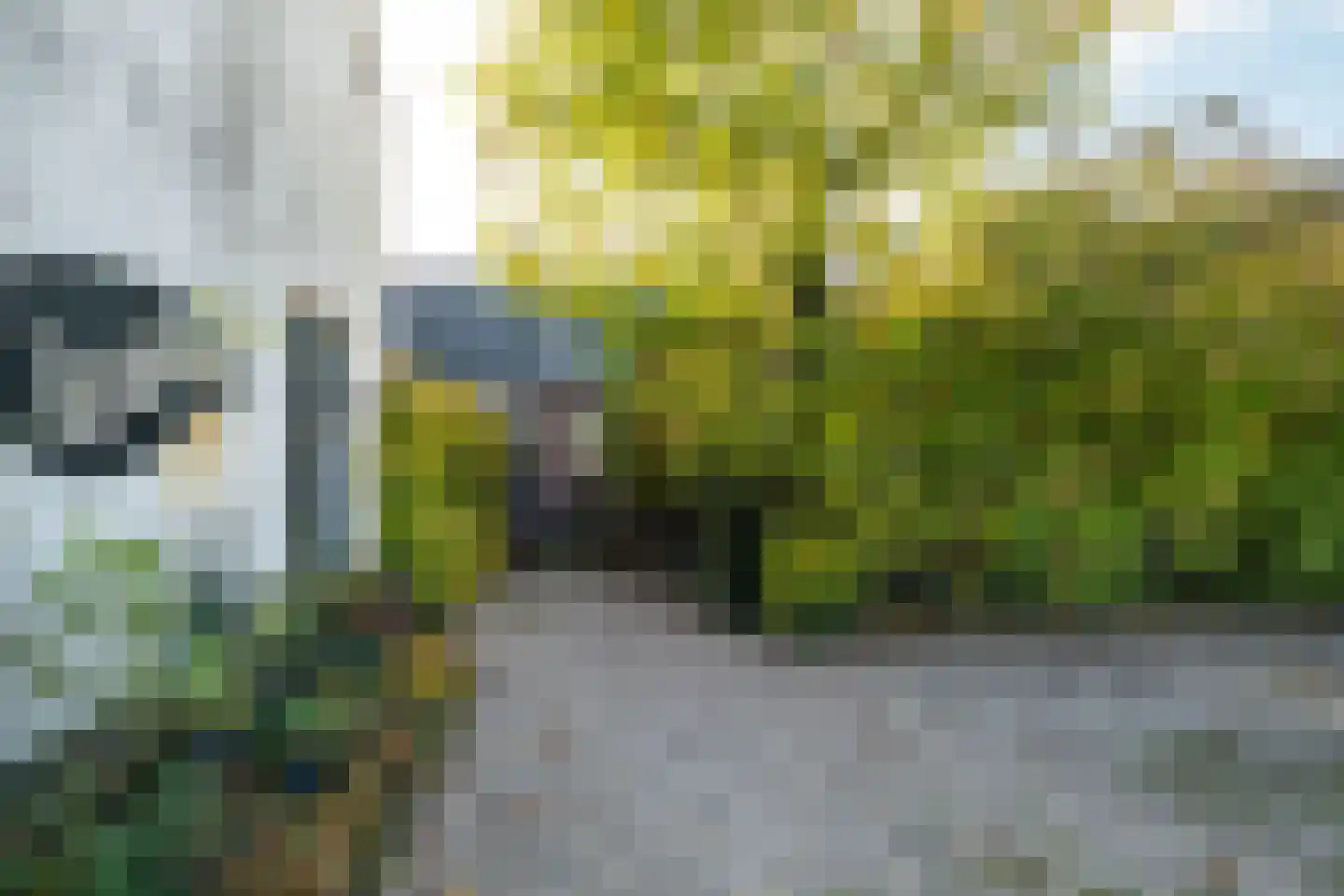 Waaldijk 18 Herwijnen thumbnail 36