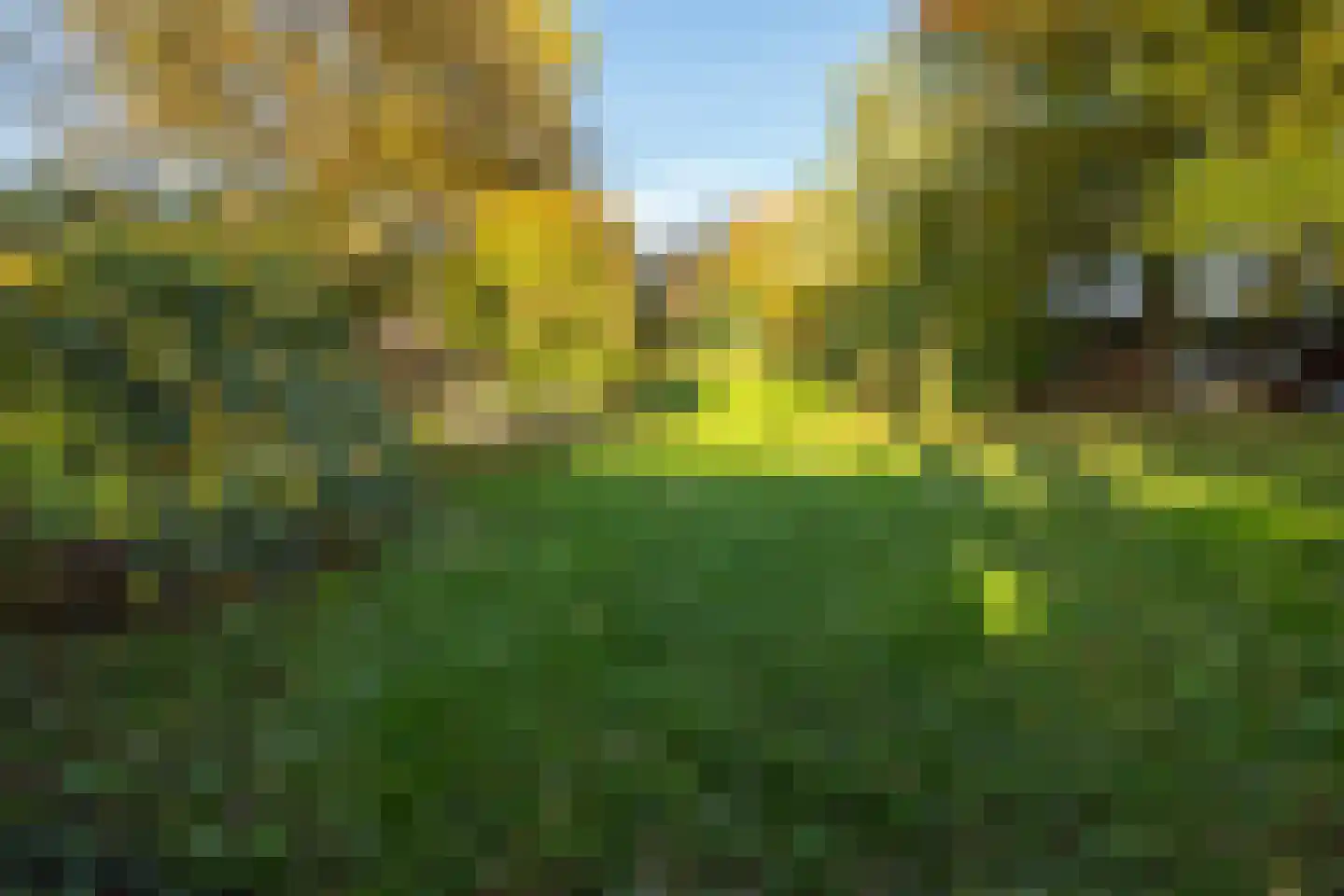 Waaldijk 18 Herwijnen thumbnail 38