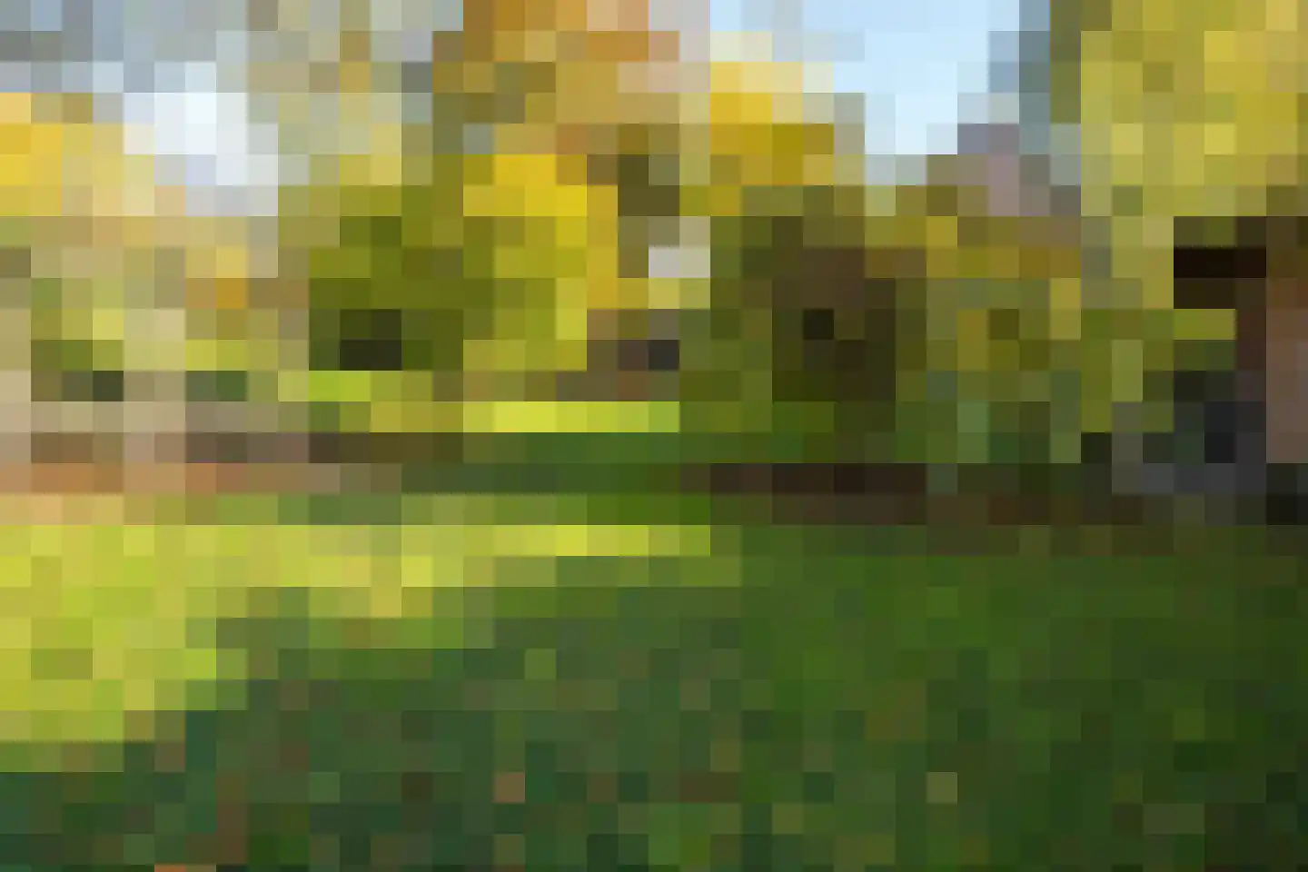 Waaldijk 18 Herwijnen thumbnail 39