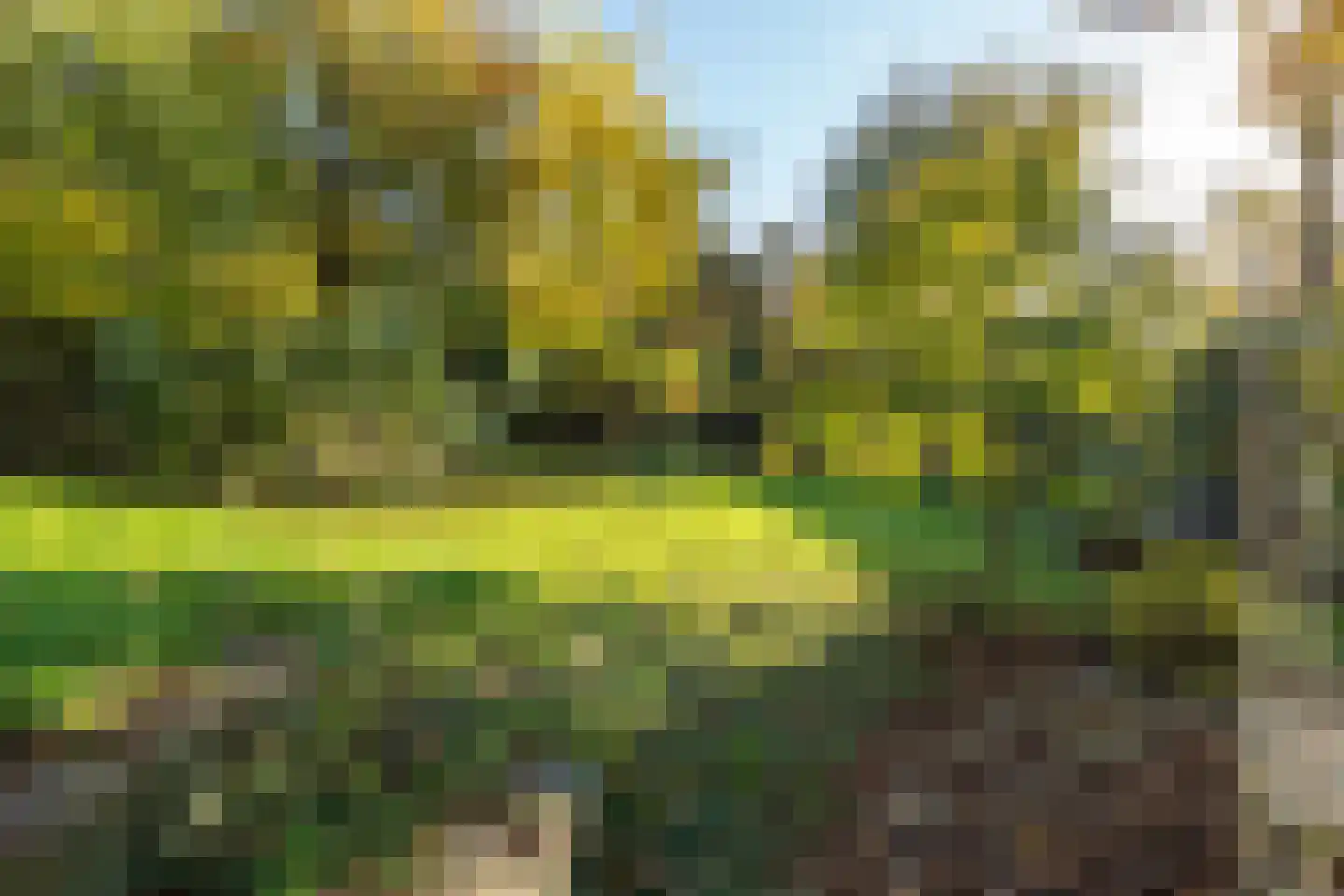 Waaldijk 18 Herwijnen thumbnail 40