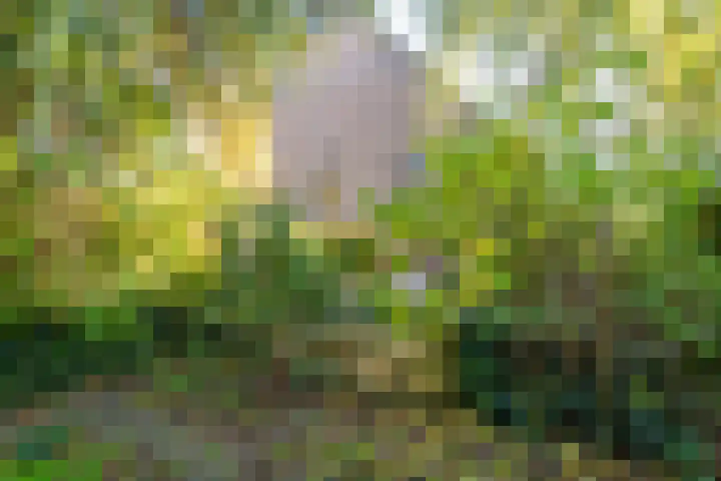 Waaldijk 18 Herwijnen thumbnail 41