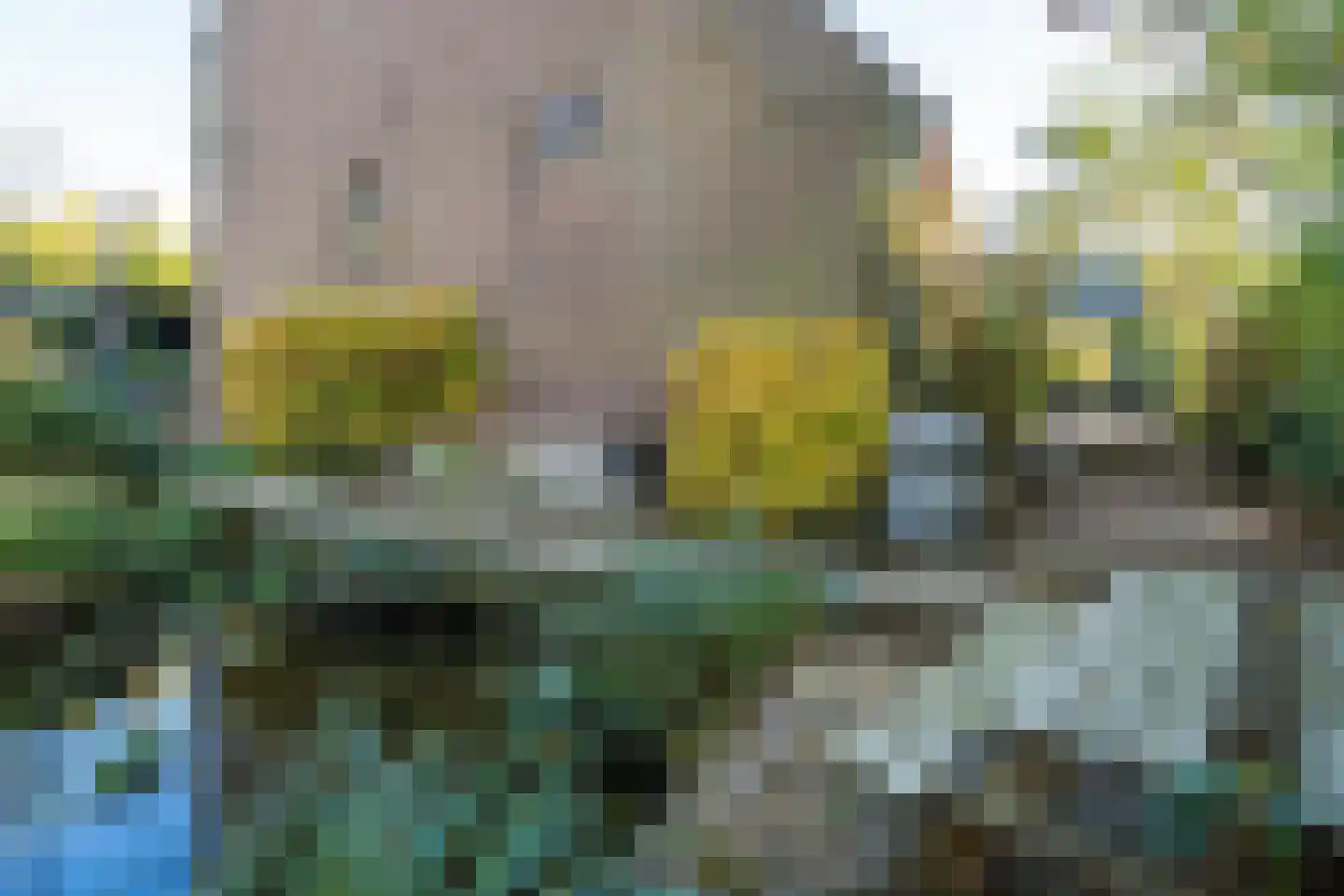 Waaldijk 18 Herwijnen thumbnail 42