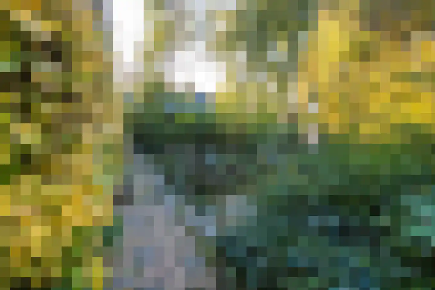 Waaldijk 18 Herwijnen thumbnail 44