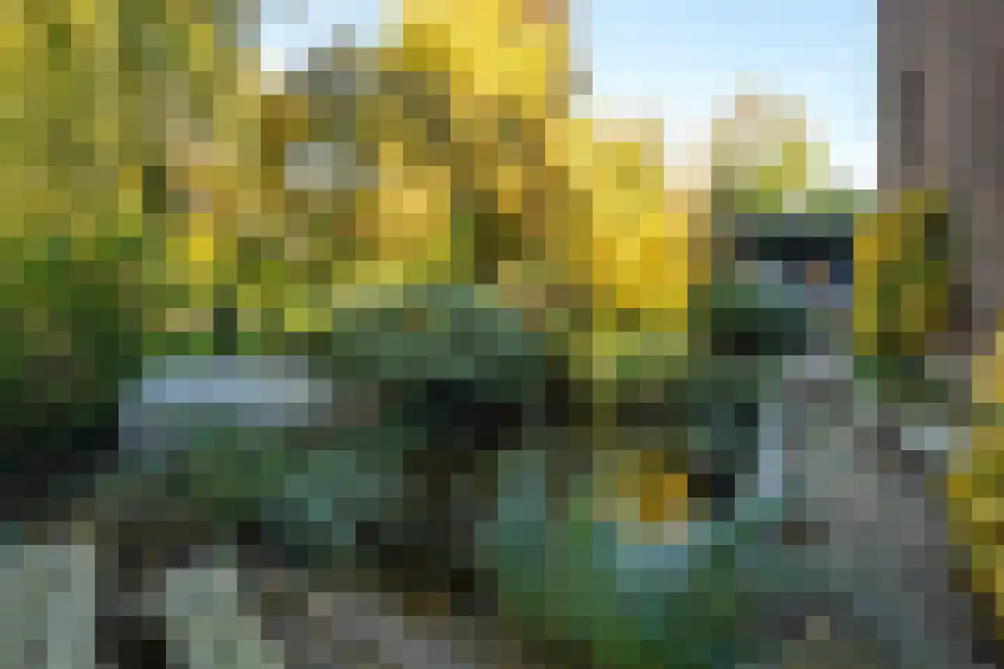 Waaldijk 18 Herwijnen thumbnail 45