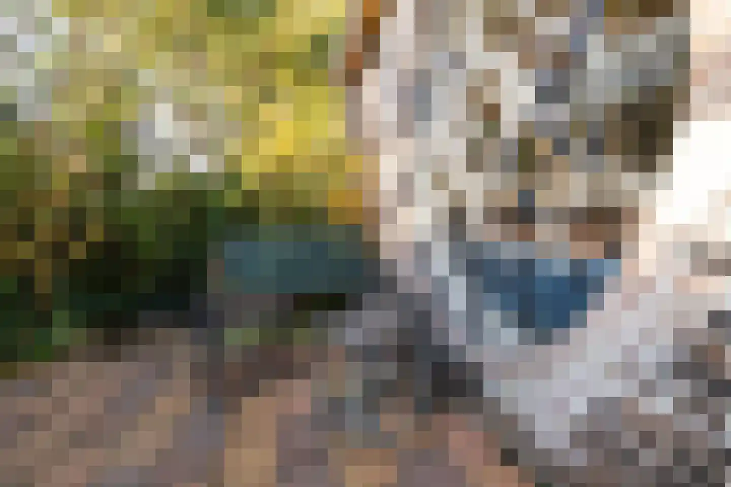 Waaldijk 18 Herwijnen thumbnail 47