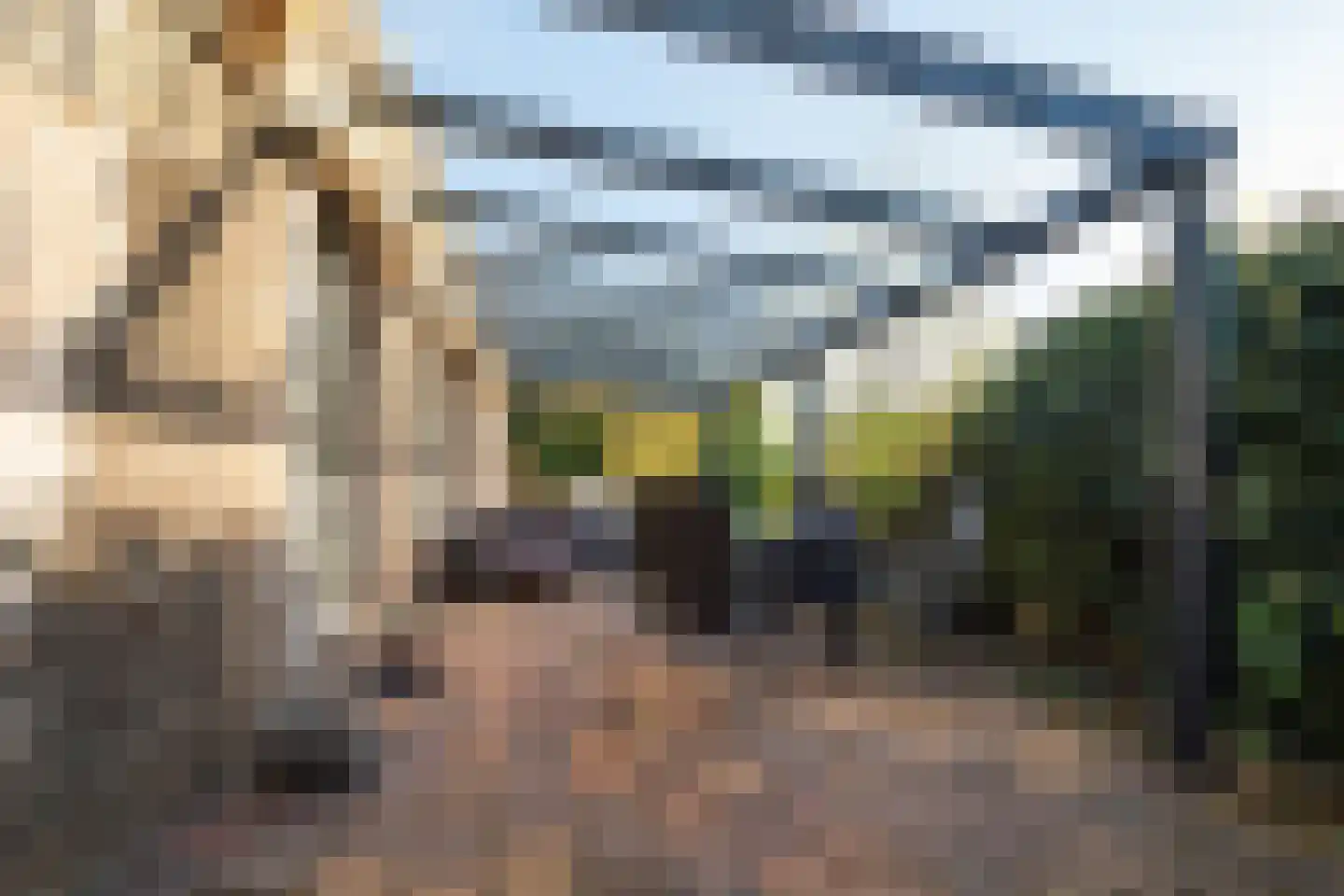 Waaldijk 18 Herwijnen thumbnail 48