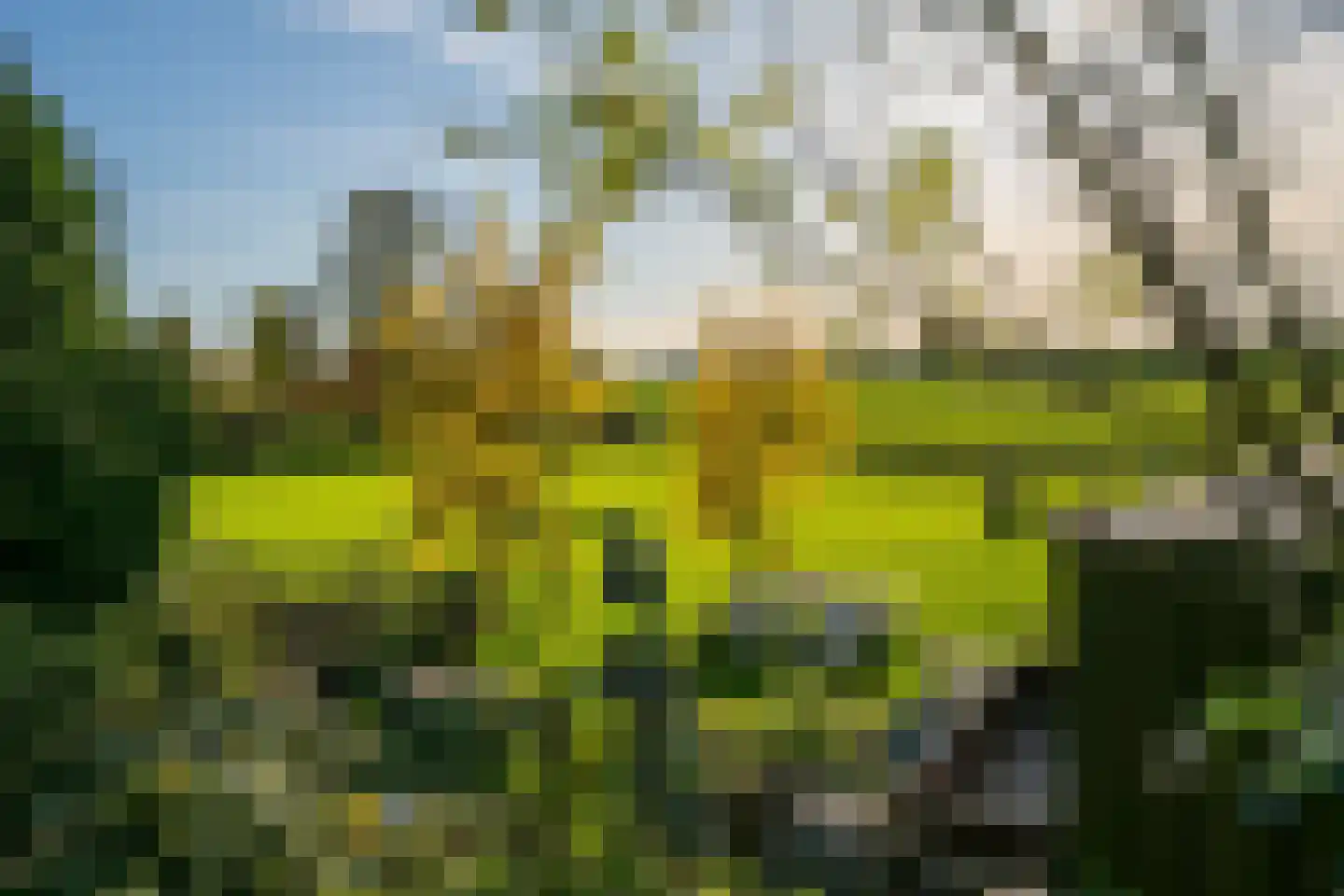 Waaldijk 18 Herwijnen thumbnail 49
