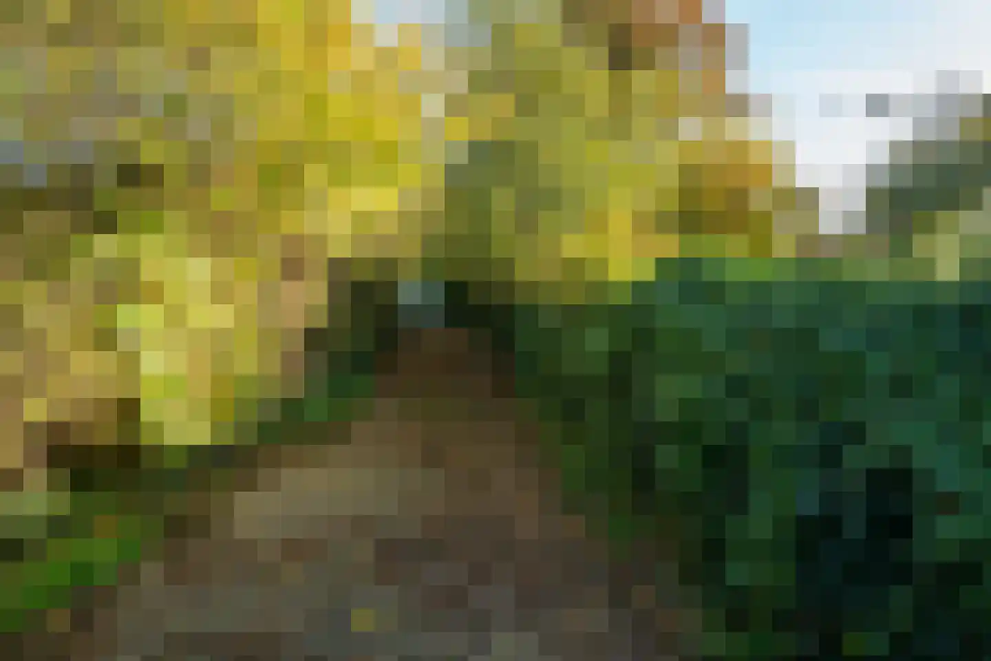 Waaldijk 18 Herwijnen thumbnail 50