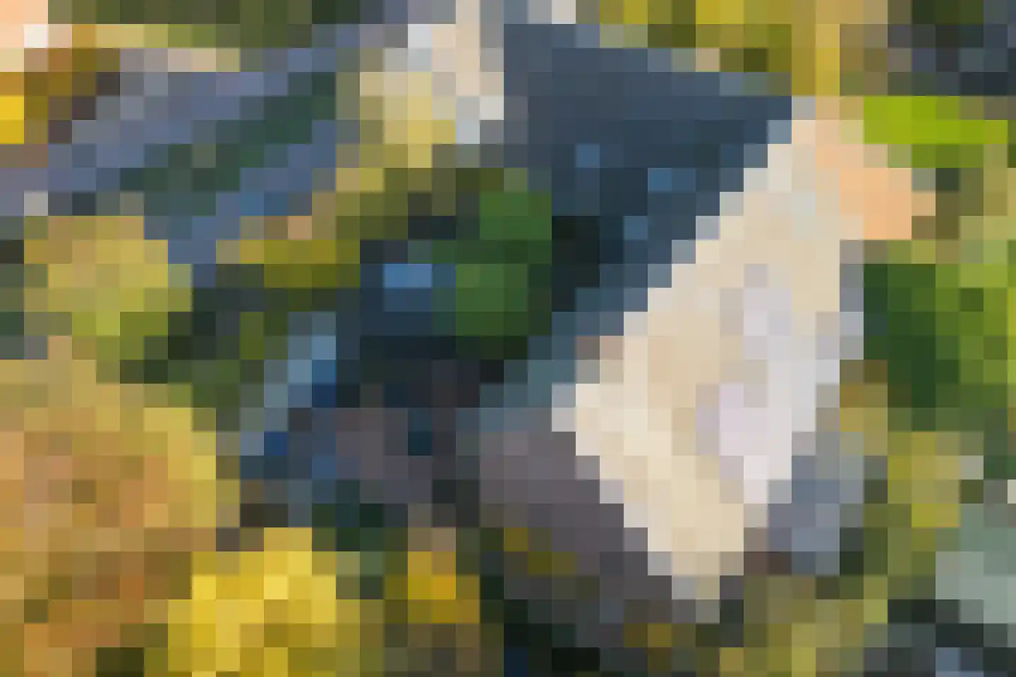 Waaldijk 18 Herwijnen thumbnail 53