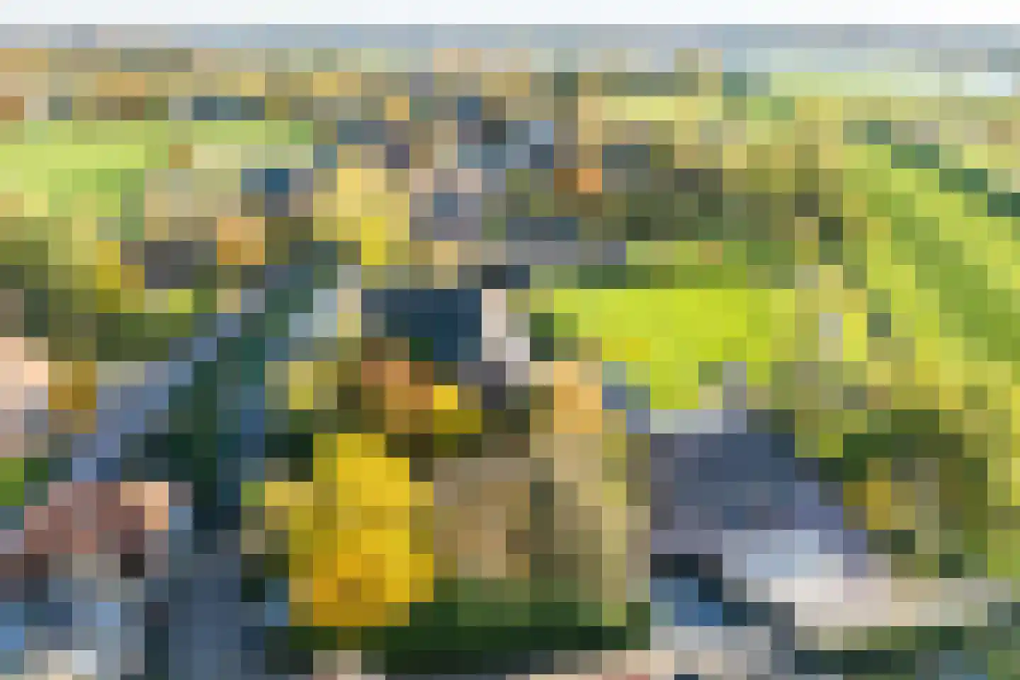 Waaldijk 18 Herwijnen thumbnail 54