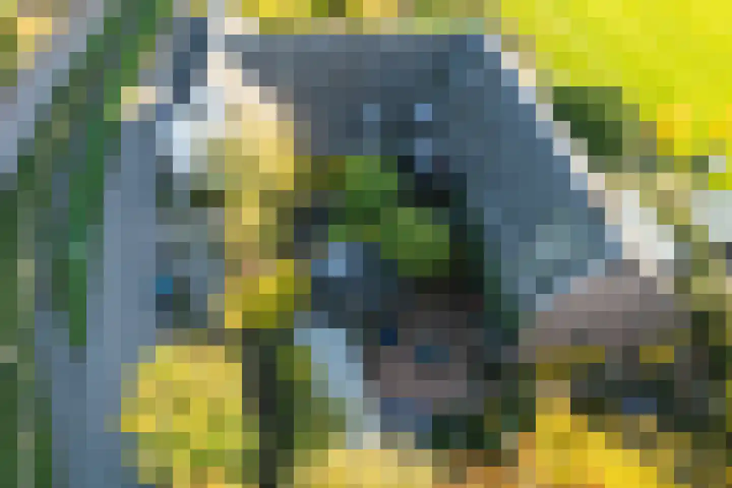 Waaldijk 18 Herwijnen thumbnail 6