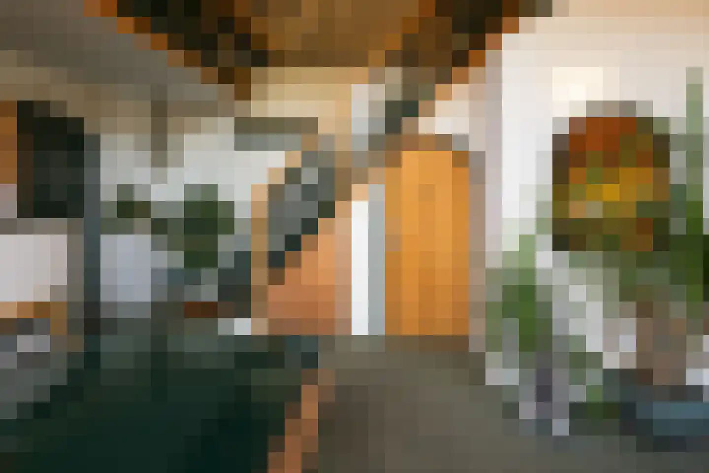 Waaldijk 18 Herwijnen thumbnail 9