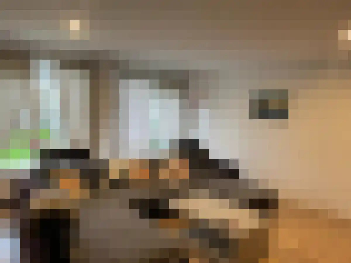 Waaldijk 28 in Rotterdam