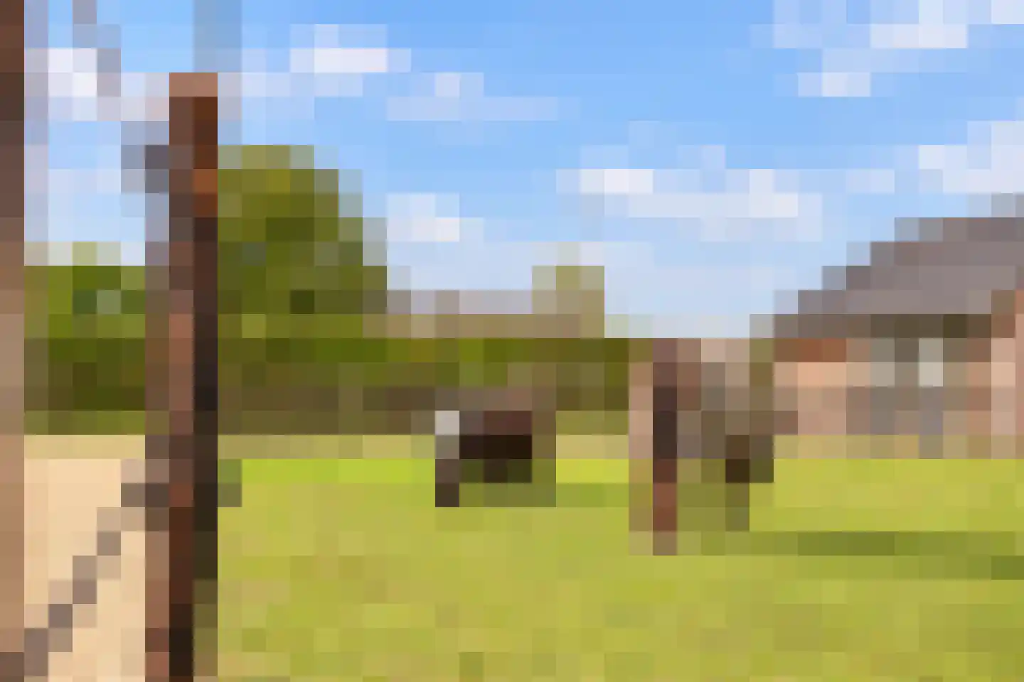 Waaldijk 30 Opijnen thumbnail 22