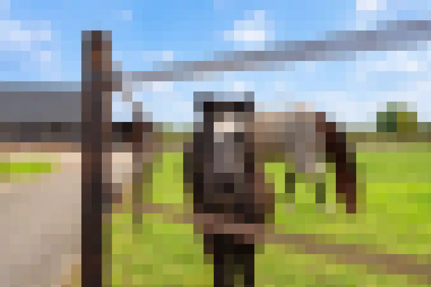 Waaldijk 30 Opijnen thumbnail 26