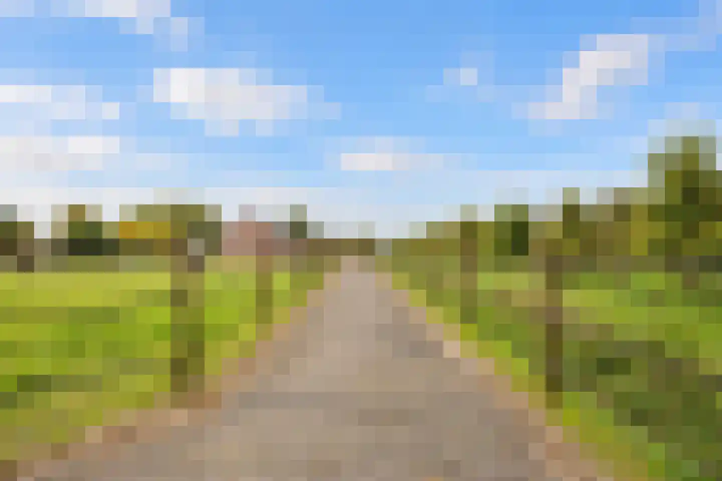Waaldijk 30 Opijnen thumbnail 27