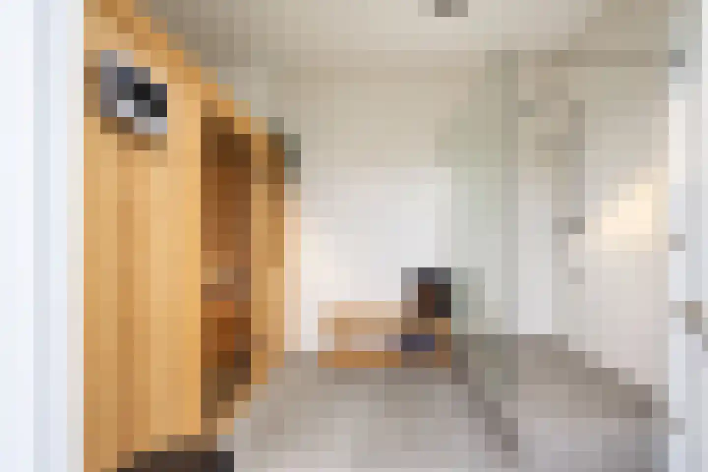 Waaldijk 30 Opijnen thumbnail 50