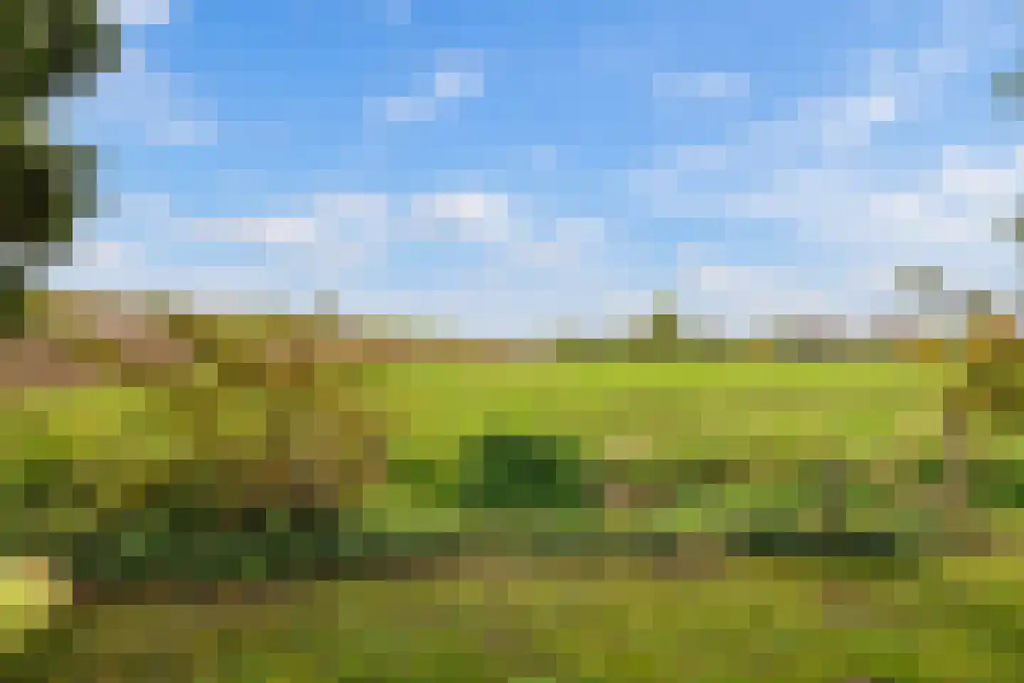 Waaldijk 30 Opijnen thumbnail 55