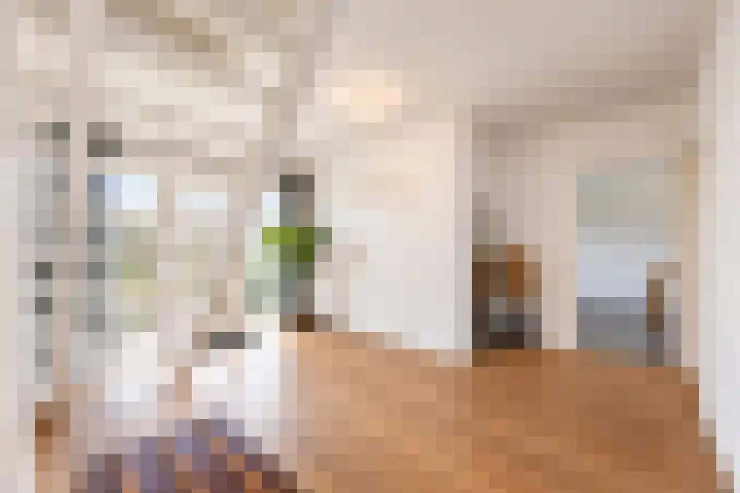 Waaldijk 30 Opijnen thumbnail 57