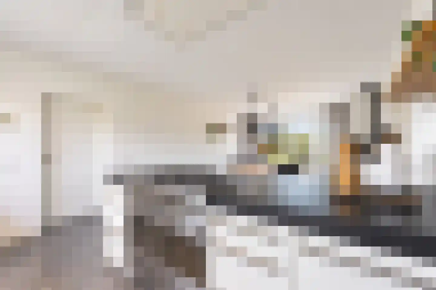 Waaldijk 30 Opijnen thumbnail 61
