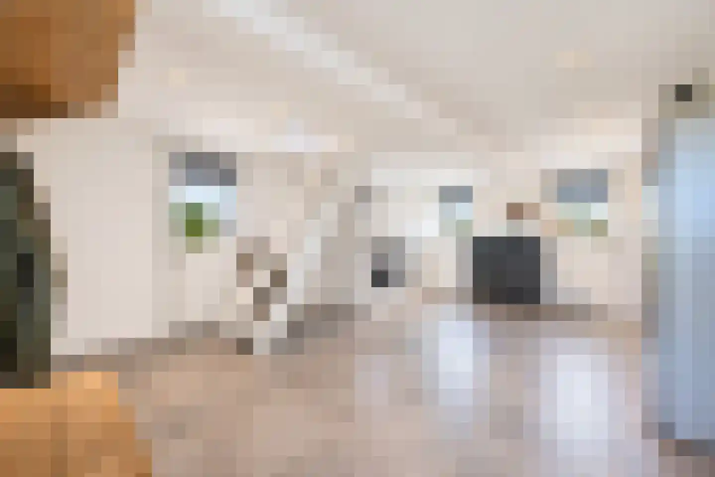 Waaldijk 30 Opijnen thumbnail 64