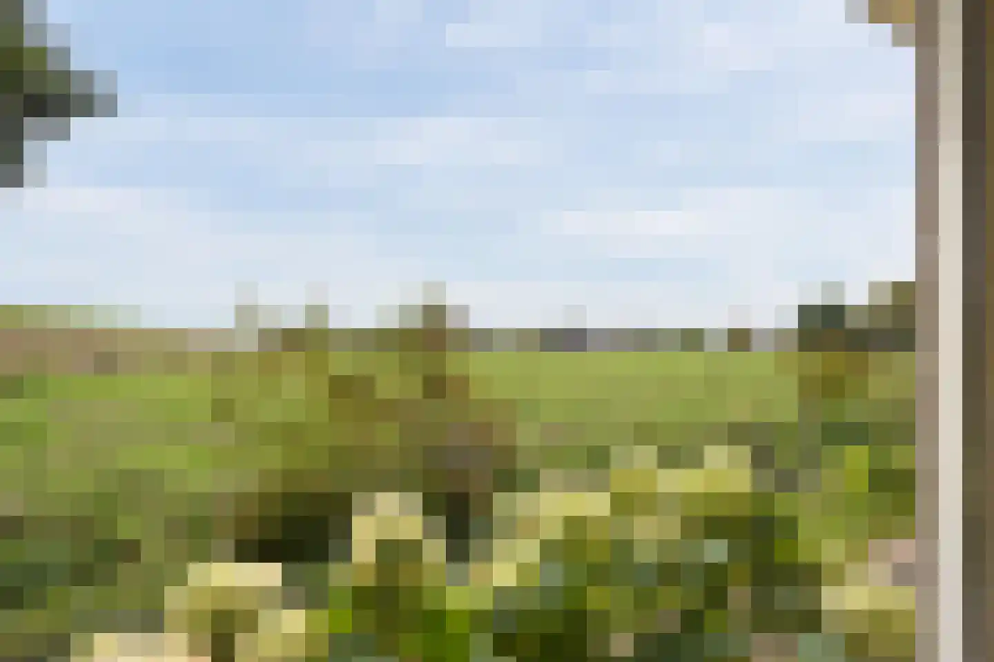 Waaldijk 30 Opijnen thumbnail 73