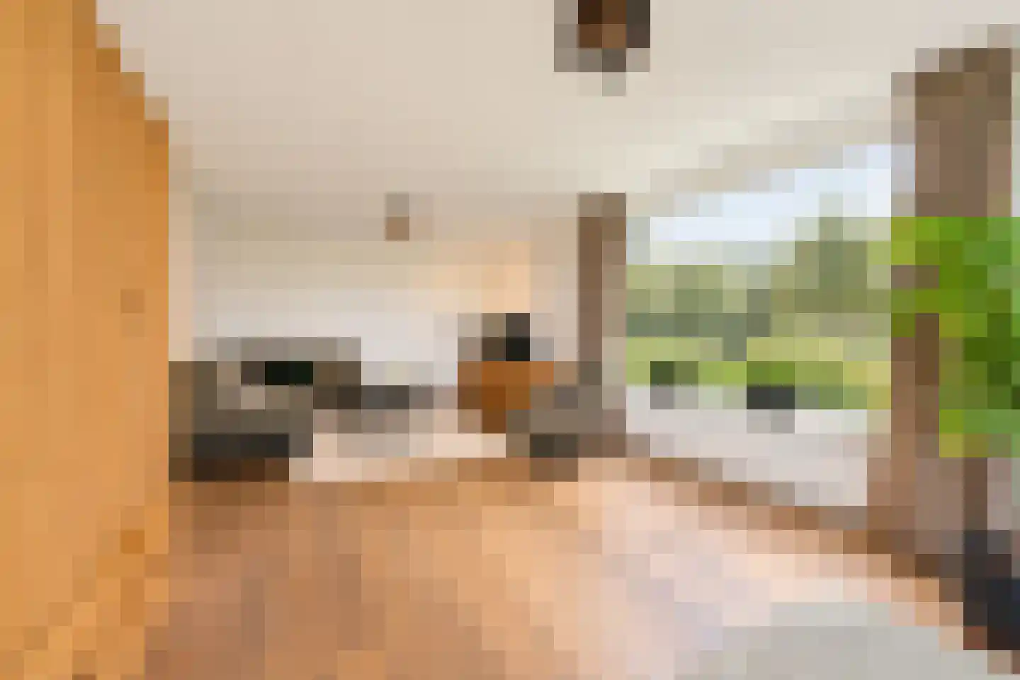 Waaldijk 30 Opijnen thumbnail 74