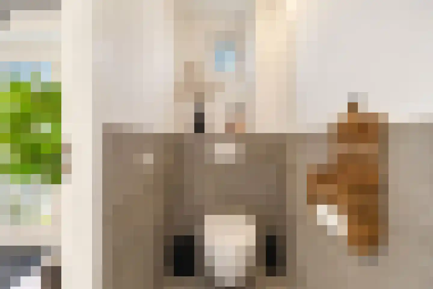 Waaldijk 30 Opijnen thumbnail 77
