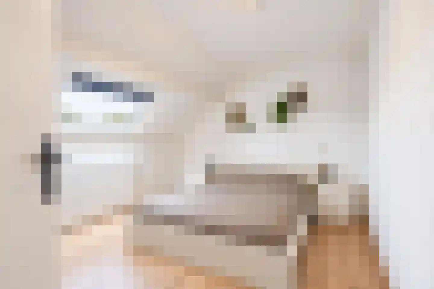 Waaldijk 30 Opijnen thumbnail 80