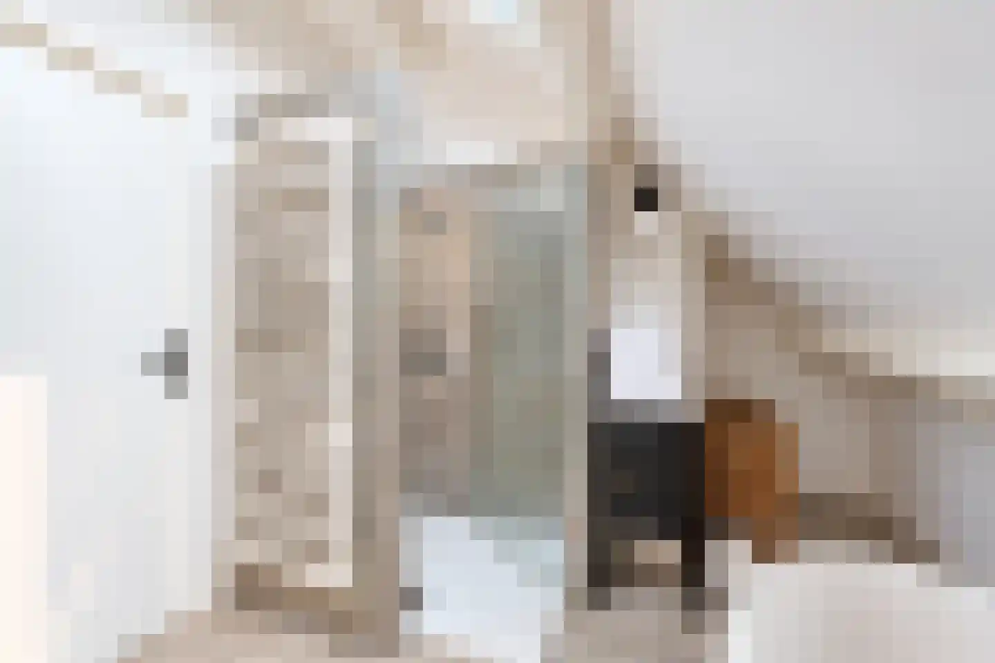 Waaldijk 30 Opijnen thumbnail 87