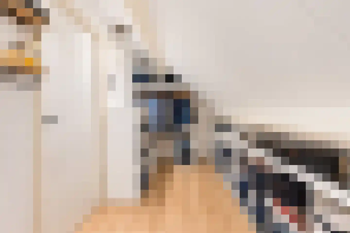 Waaldijk 30 Opijnen thumbnail 89