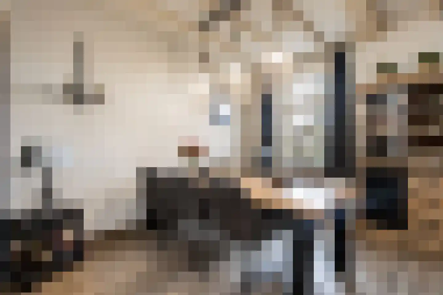 Waaldijk 31 Hurwenen thumbnail 10