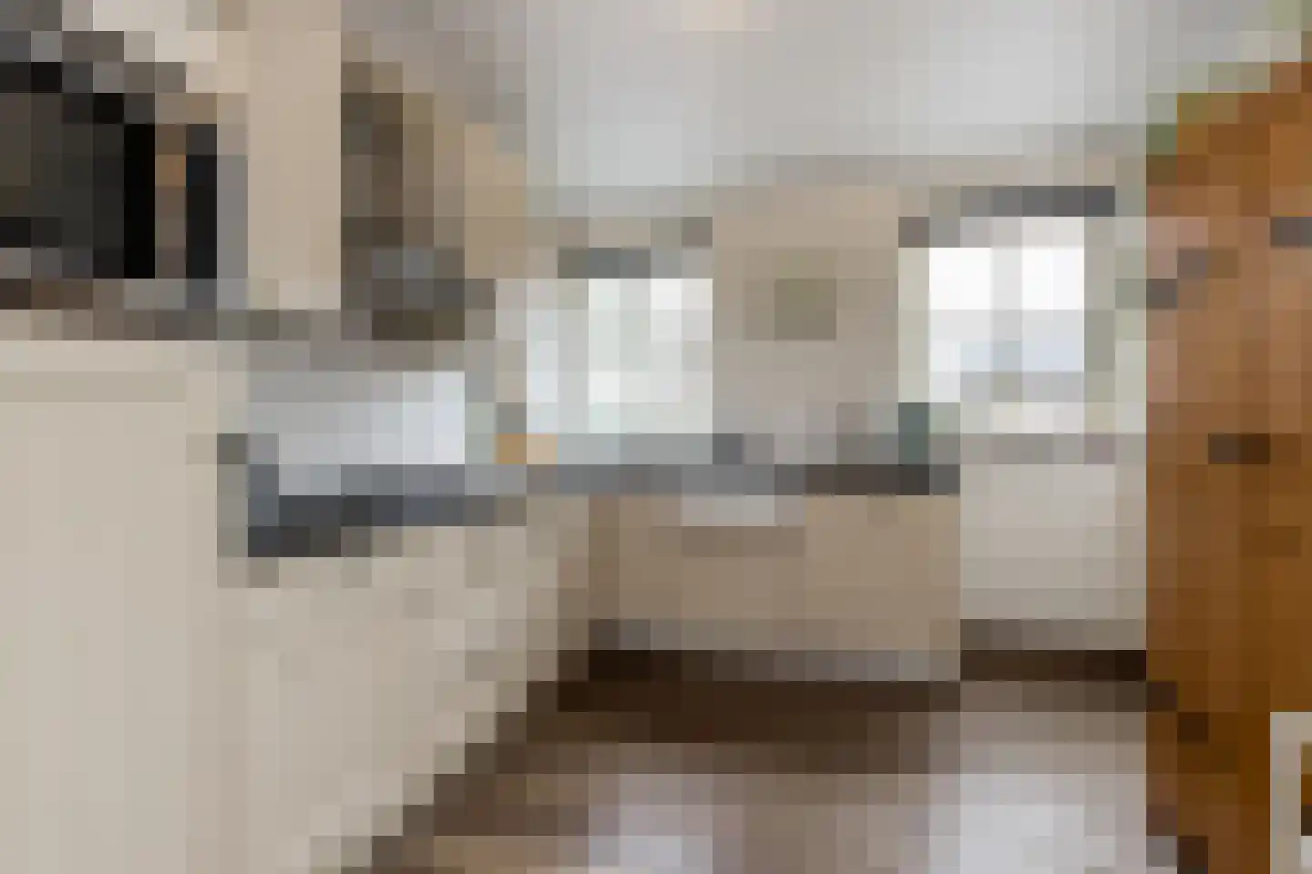 Waaldijk 31 Hurwenen thumbnail 14