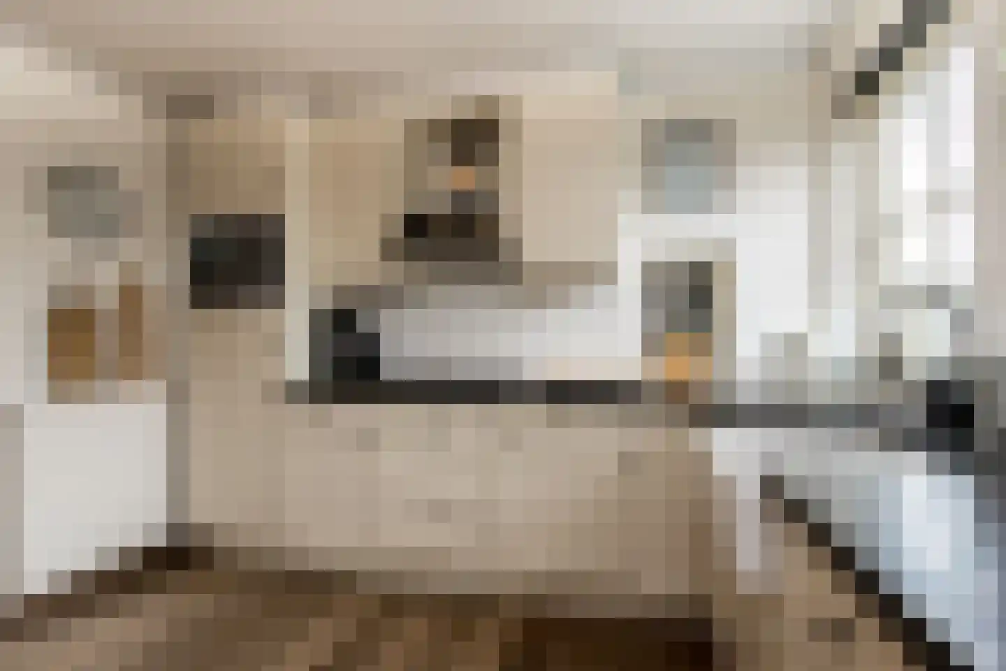 Waaldijk 31 Hurwenen thumbnail 18