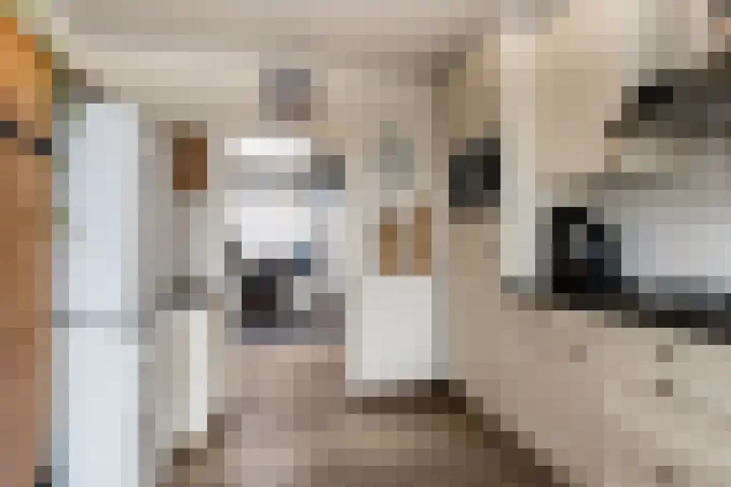 Waaldijk 31 Hurwenen thumbnail 24