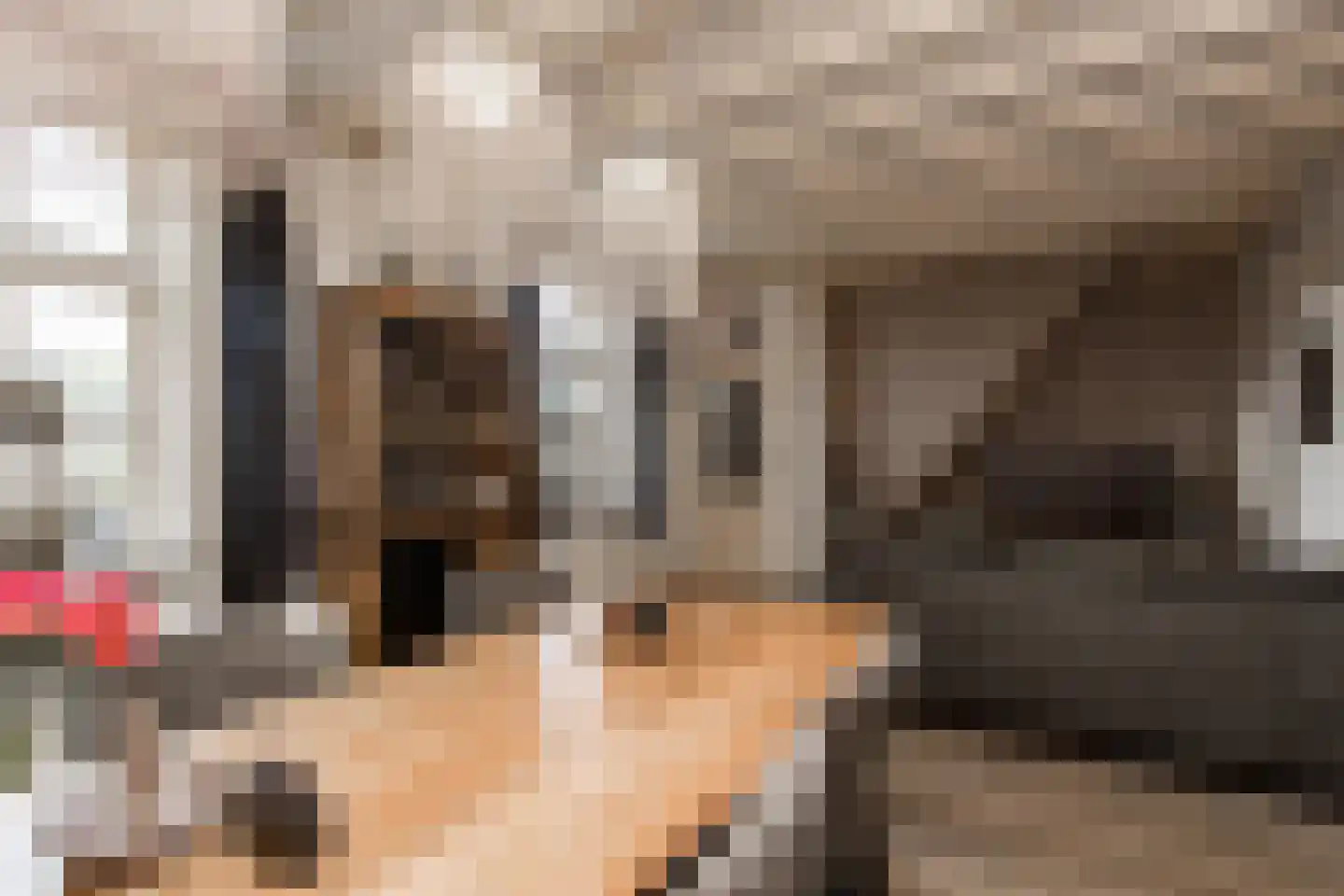 Waaldijk 31 Hurwenen thumbnail 4