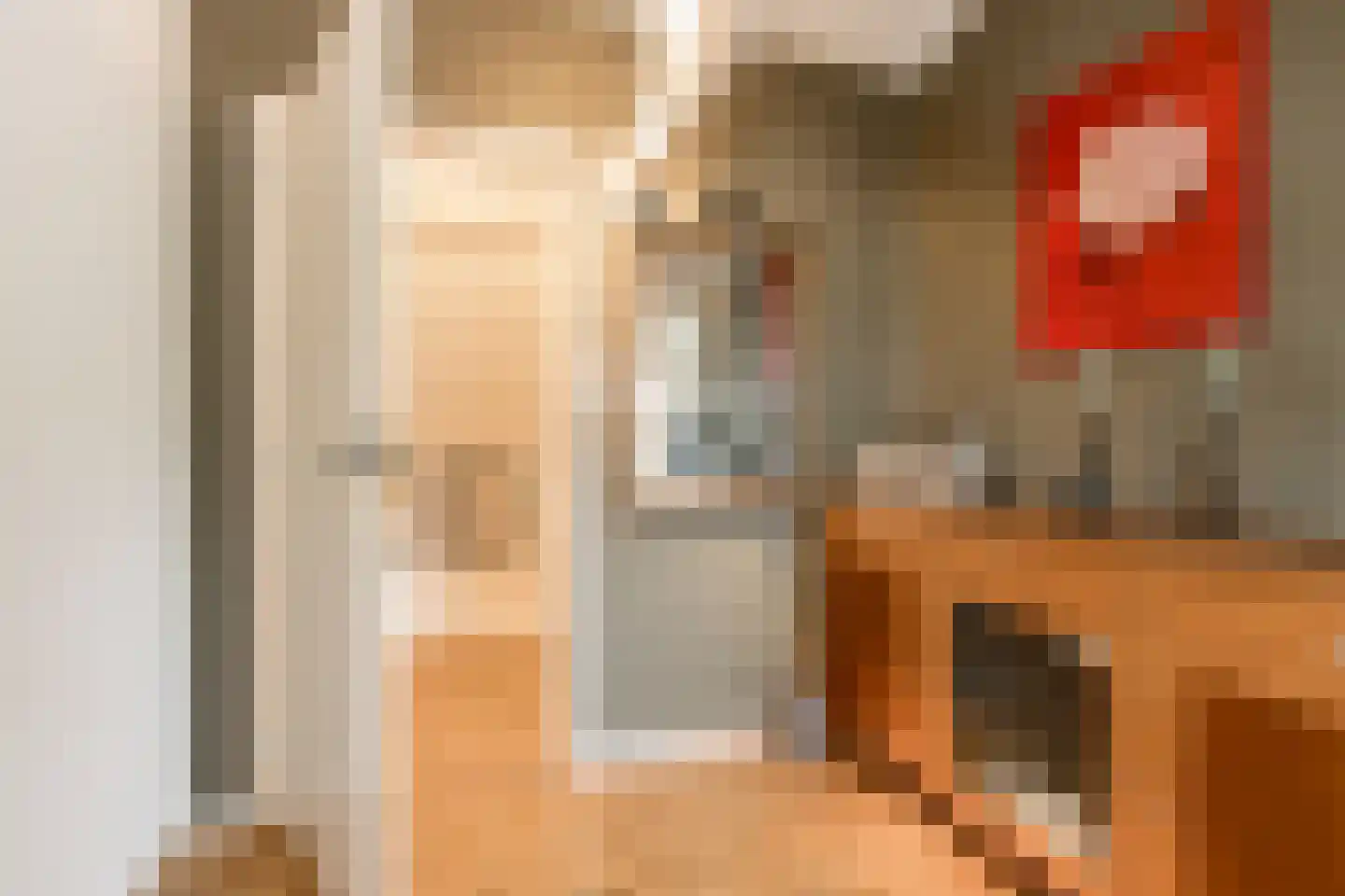 Waaldijk 31 Hurwenen thumbnail 43