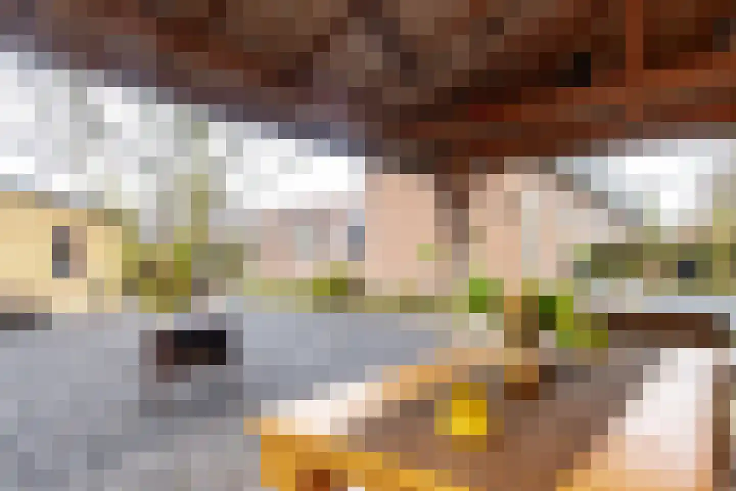 Waaldijk 31 Hurwenen thumbnail 50
